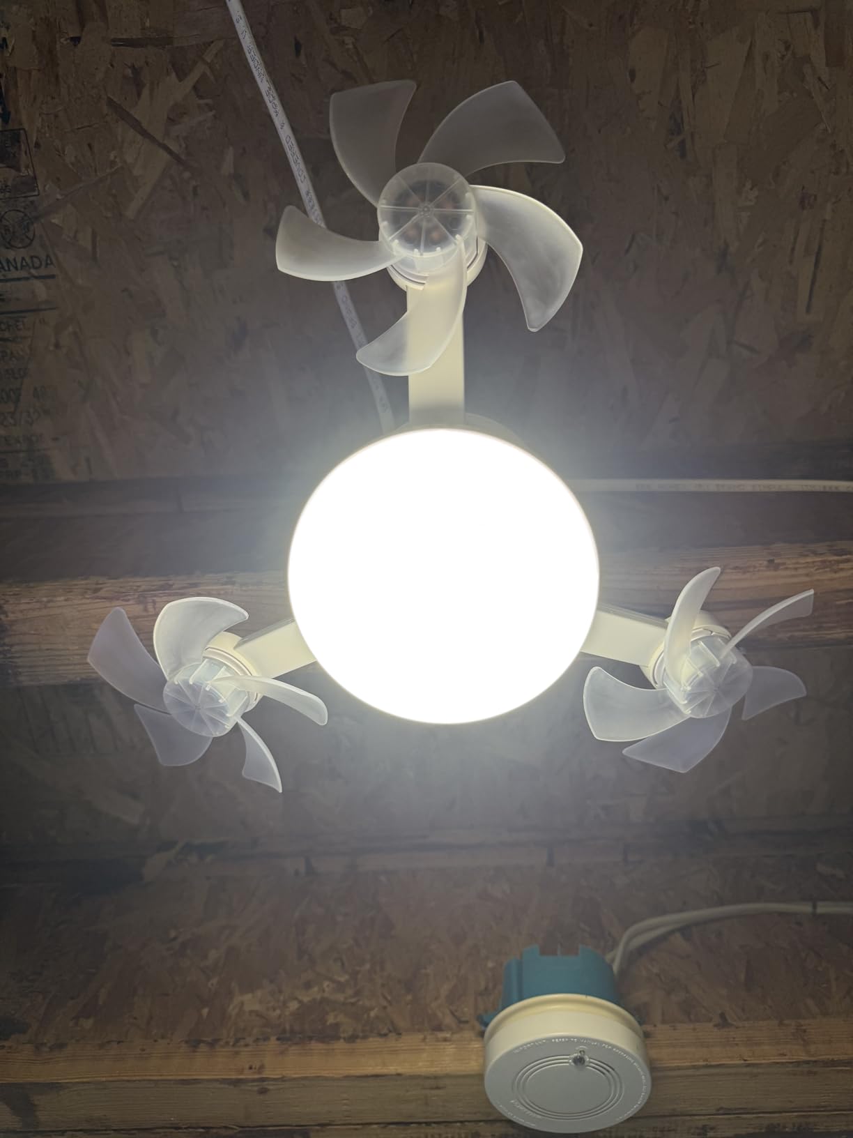 Customer review photo 5-1