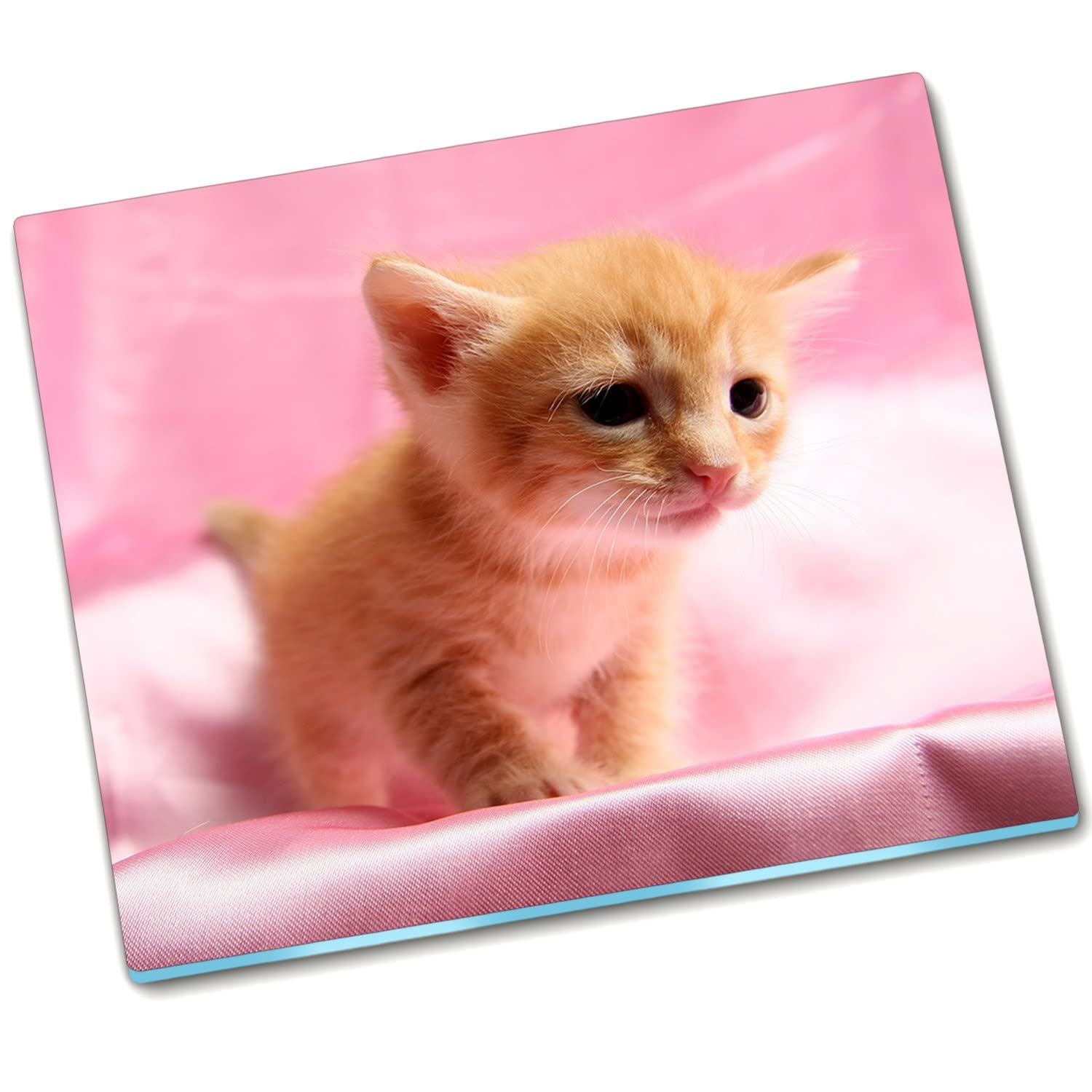 Plaque de protection de poêle 60x52 cm Décormat en verre durci avec protection anti-éclaboussures chaton