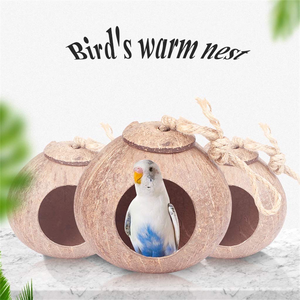 PetPhindU Nido di Uccello, Noce di Cocco Uccello Casa Decorativa Birdhouse, Appeso Guscio di Noce di Cocco Nido di Uccello per Parakeets, Uccelli di