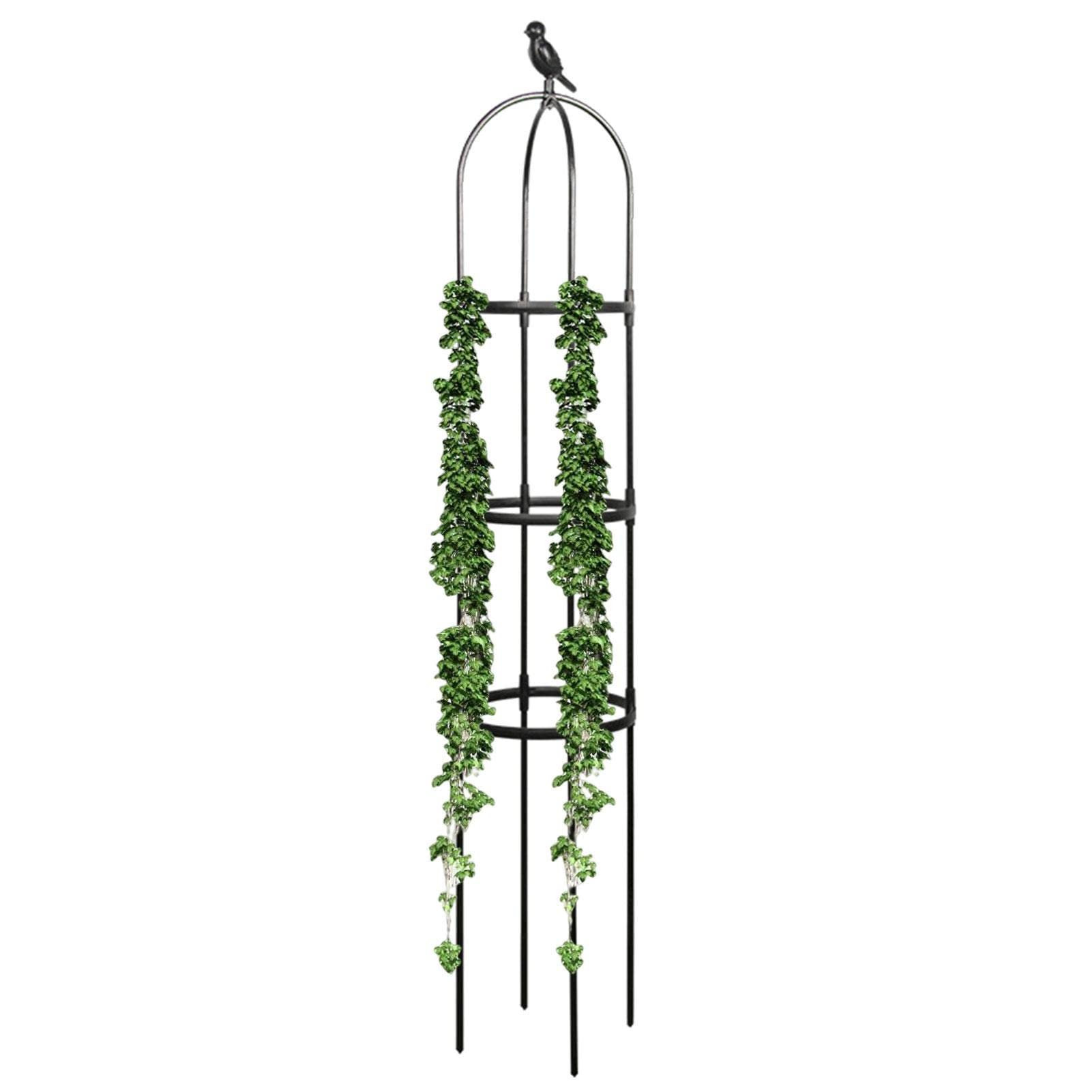 Cage à tomates et treillis de jardin robuste pour plantes grimpantes Teksome