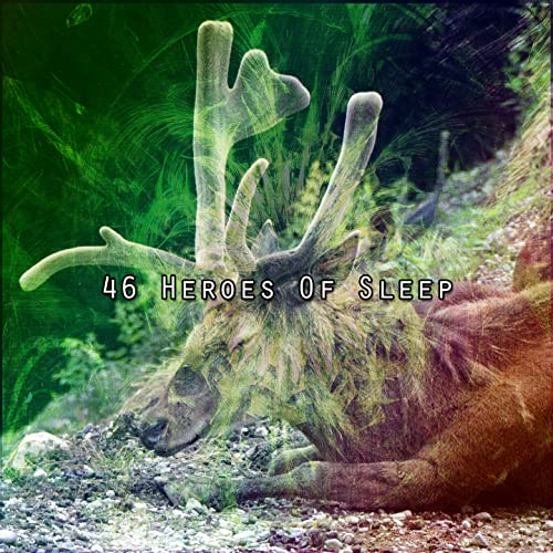 Play 46 Heroes Of Sleep by Sleep Music System on Amazon Music