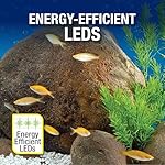 Tetra Aquarium, 20 Gallon, Complete Tropical Fish Tank Kit With LED Lighting And Decor For Freshwater Fish - Image 5