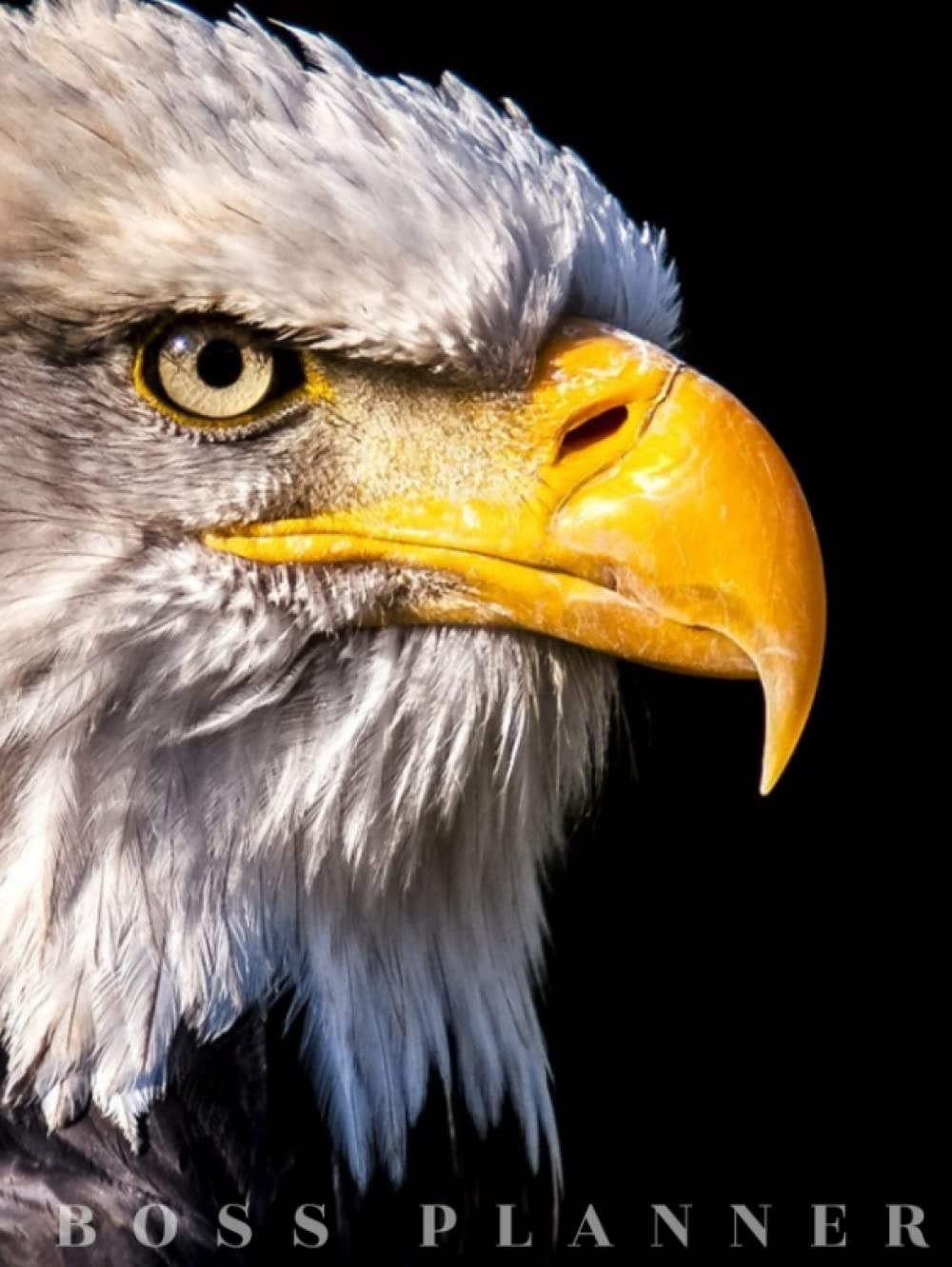 Boss Planner- Ukhozi: Plan/Execute/Stay Organized in this Well Designed South African Safari Inspired Planner/Organizer. Generous 360 Page Large ... Eagle Cover Design Makes a bold statement.