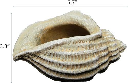 Miniatura 4 de Maceta clásica de conchas de cemento para el hogar y el jardín, bonita decoración de escritorio o regalo, maceta de conchas Jagger con tapón de
