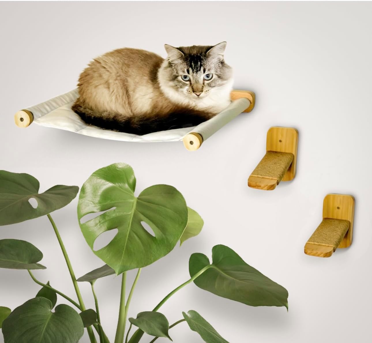 Wall Mounted Hammock and Steps for Large Cats. Easy to Install. Sturdy, Safe and Attractive. Designed in California. Built to Last.