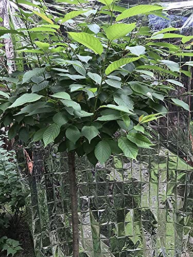 Navadeal 2 Pack Silver Highly Reflective Mylar Films, 82X 47Inch, Metallized Foil Covering Sheet, Garden Greenhouse Farming, Increase Plant Growth Save Power, Reduce Uneven Heat Environment Safe #TOP6