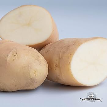 Amazon | ジャガイモ メークイン訳あり品 25年新物 茨城県産 M