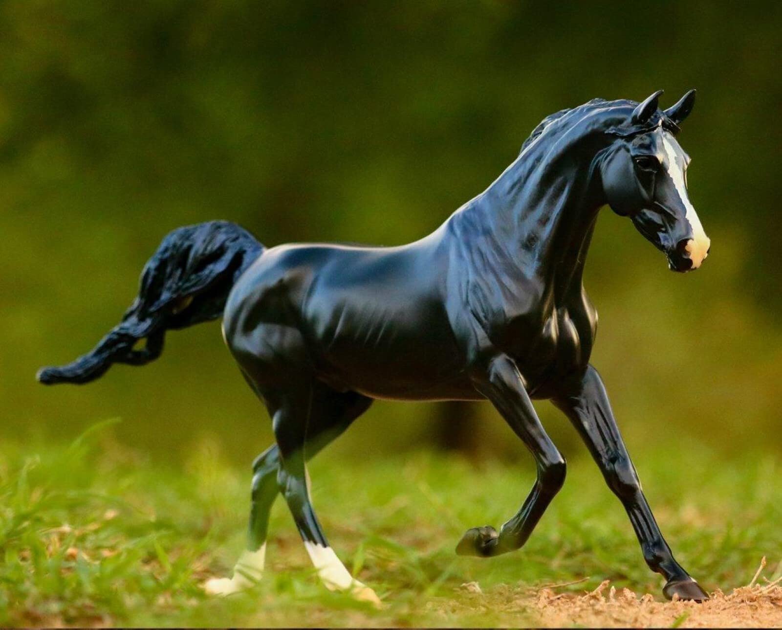 Breyer Freedom Series Cavallo Napoletano - Modello Decorator Scala 1:12 - Giocattolo Dipinto A Mano #62223 - 4