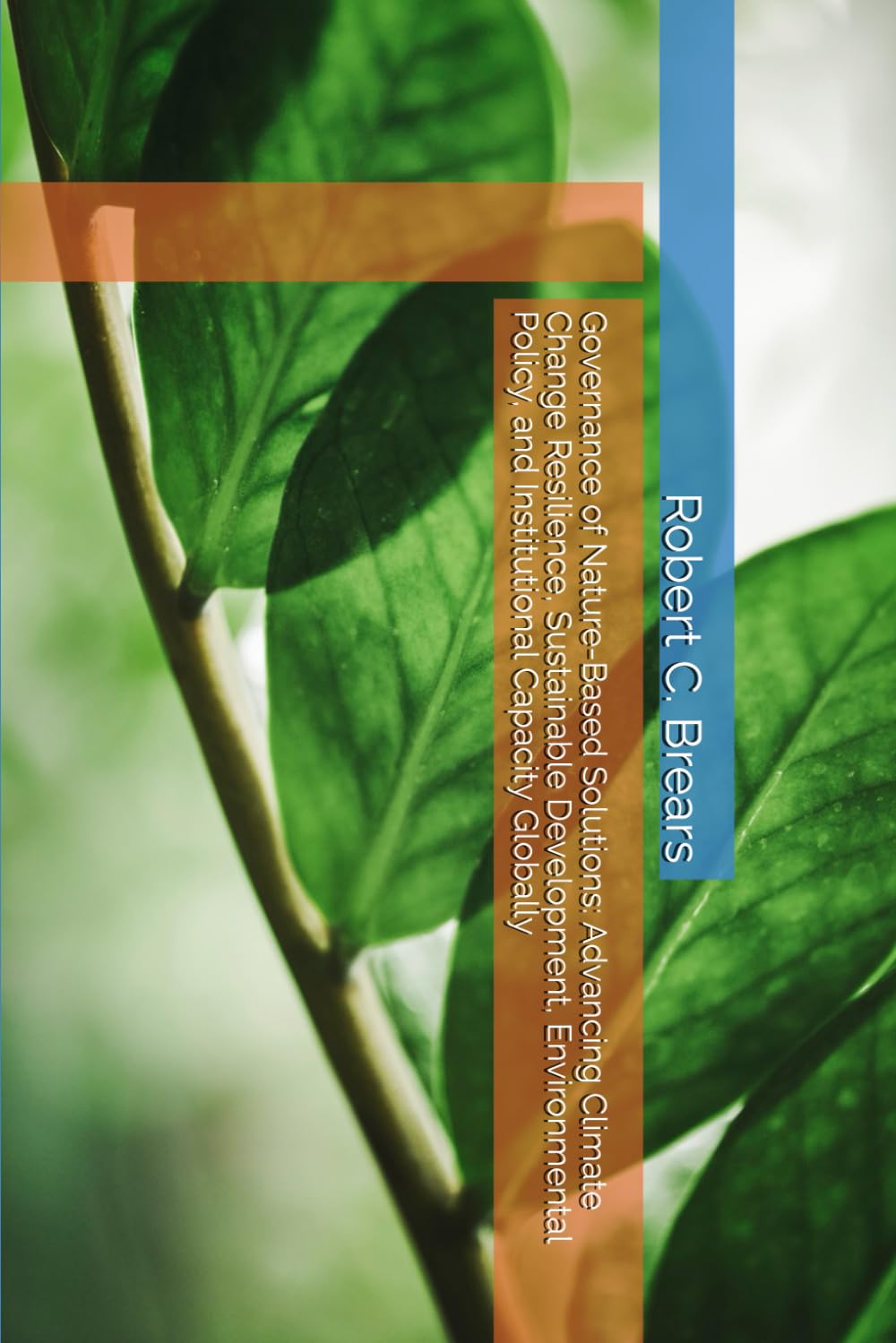 Governance of Nature-Based Solutions: Advancing Climate Change Resilience, Sustainable Development, Environmental Policy, and Institutional Capacity Globally