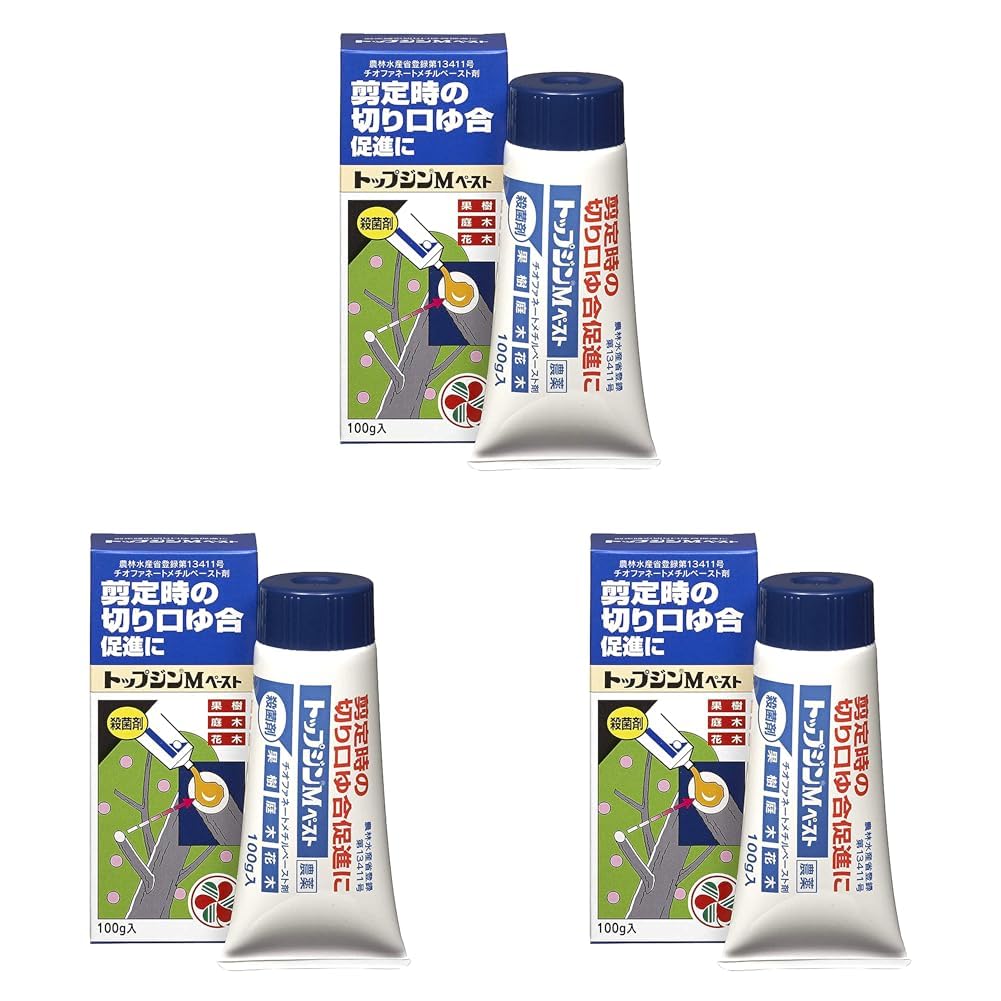 KINCHO園芸 殺菌剤 トップジンMペースト 100g 癒合剤 切り口保護 剪…