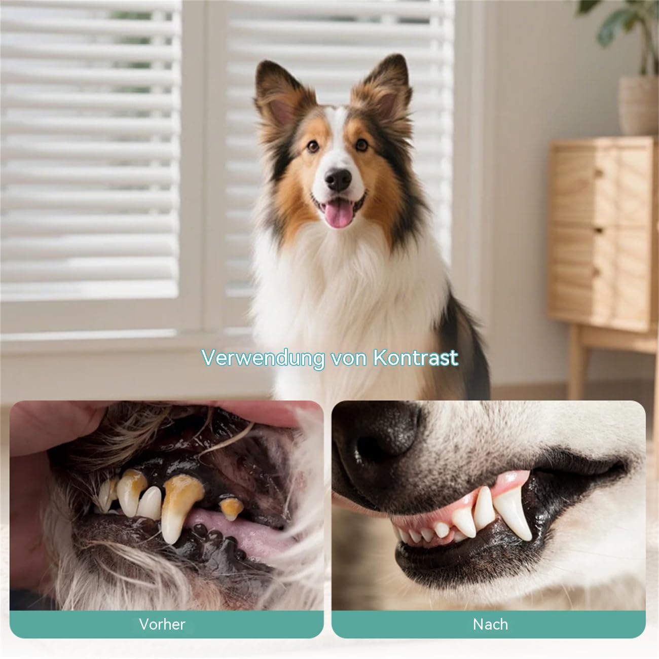 Dentalspray für Hunde – Zahnsteinentferner & Zahnpflege Spray – Gegen Mundgeruch, Plaque & Zahnfleischprobleme