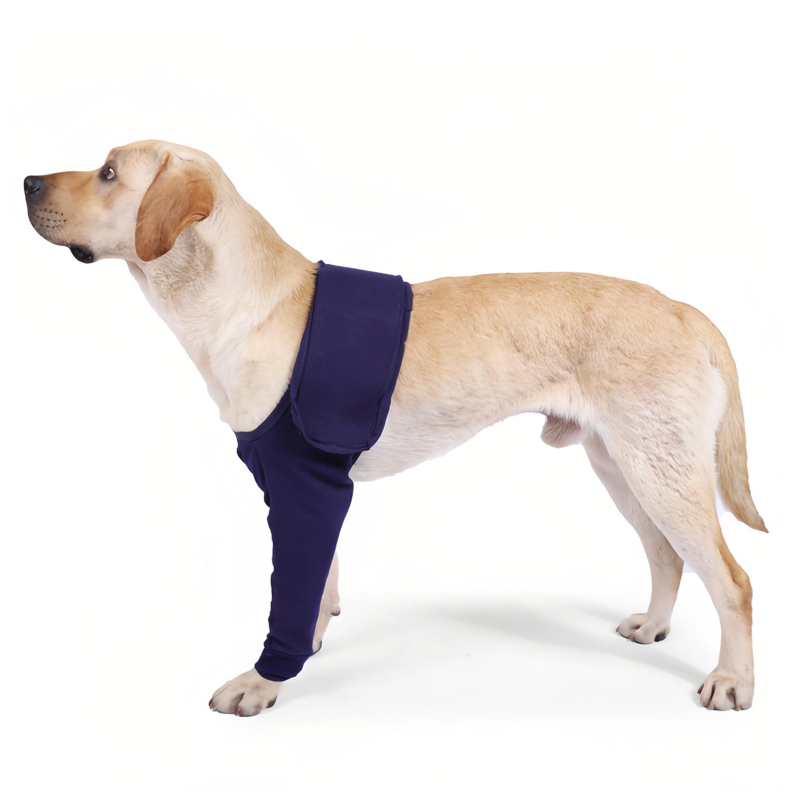 Dog Surgery Recovery Sleeve – Dog Leg Wound Protector to Help Stop Licking and Biting – Breathable Pet Recovery Sleeve with Adjustable Chest Strap – Front Left and Right Leg Cover, Blue
