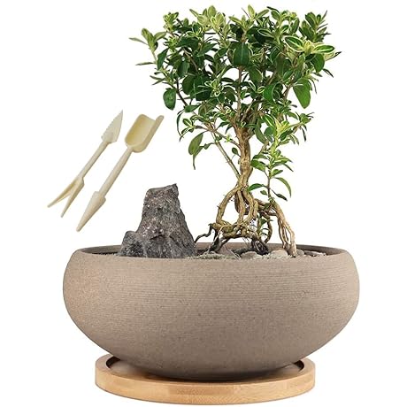 MUZHI Bonsai Ceramic Pot