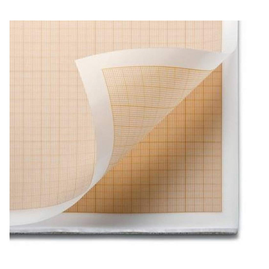 CRAFTWAFT TRACING GRAPH PAPER SHEETS PACK OF 50 PCS Amazon.in Home