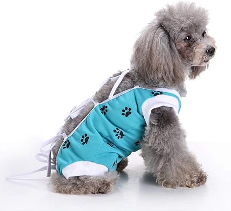 Small breed dog clothes Clearance