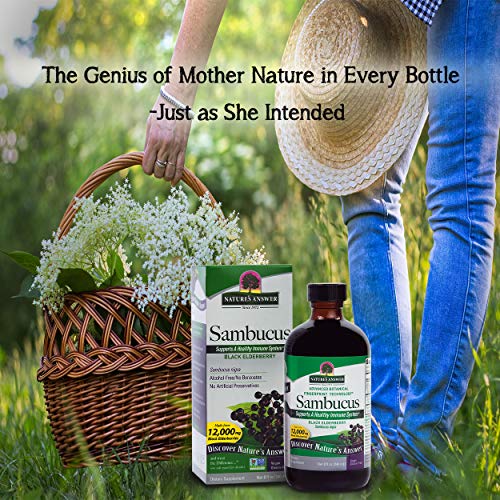 Nature's Answer Sambucus Black Elder Berry Extract Syrup In Plastic Bottle Alcohol-Free 8-Fluid Ounces | Daily Immune Support | Packed With Antioxidants | Family Friendly | Flue Season Defender #TOP2