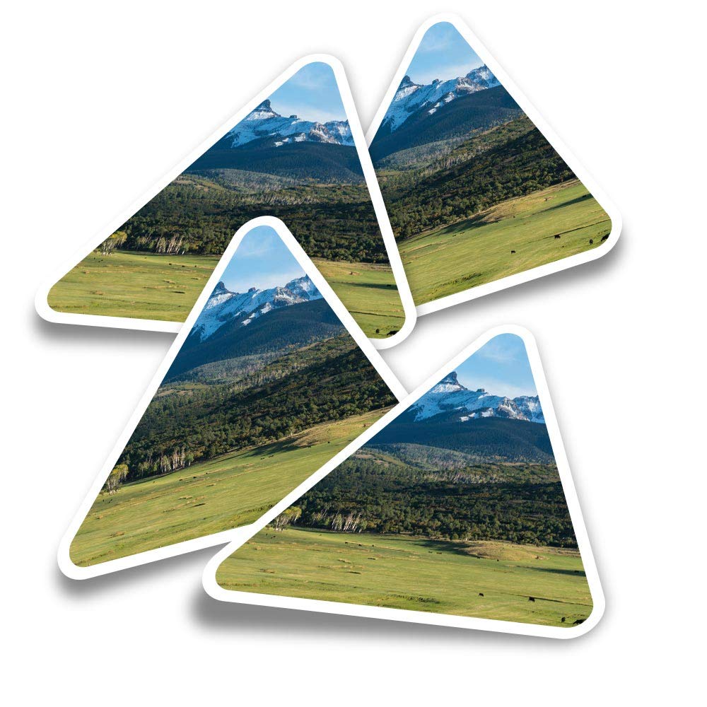 Vinyl Triangle Stickers (Set of 4) - Cattle Ranch Colorado USA Fun Decals for Laptops,Tablets,Luggage,Scrap Booking,Fridges #3177