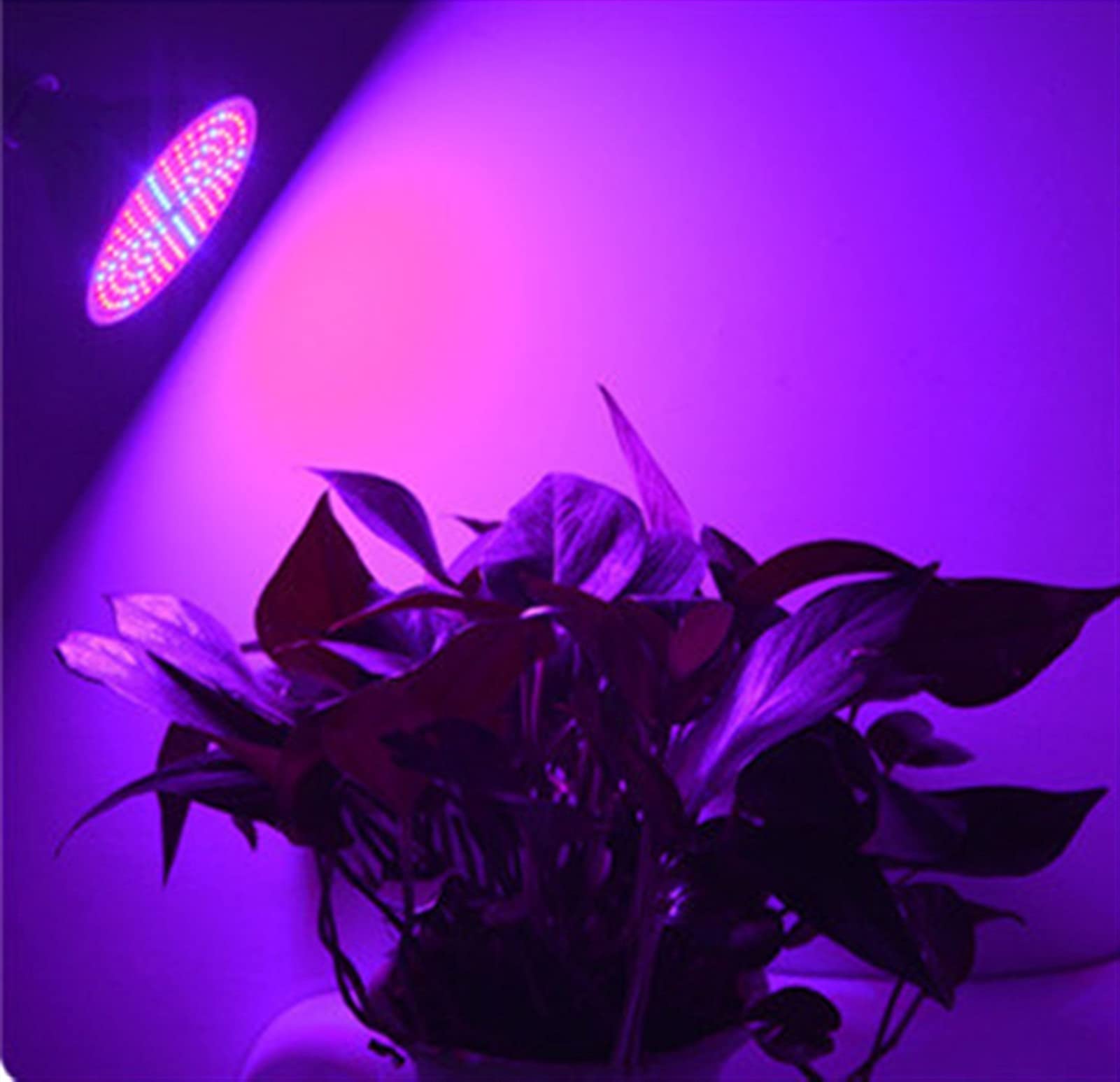 FAXIOAWA Luz de Cultivo para Plantas de Interior Phyto Lamp Full Spectrum LED Grow Light E27 Lámpara de Planta para plántulas de Interior Flower Grow Tent Box Lámpara de Cultivo LED (Vataje: 60 LED)