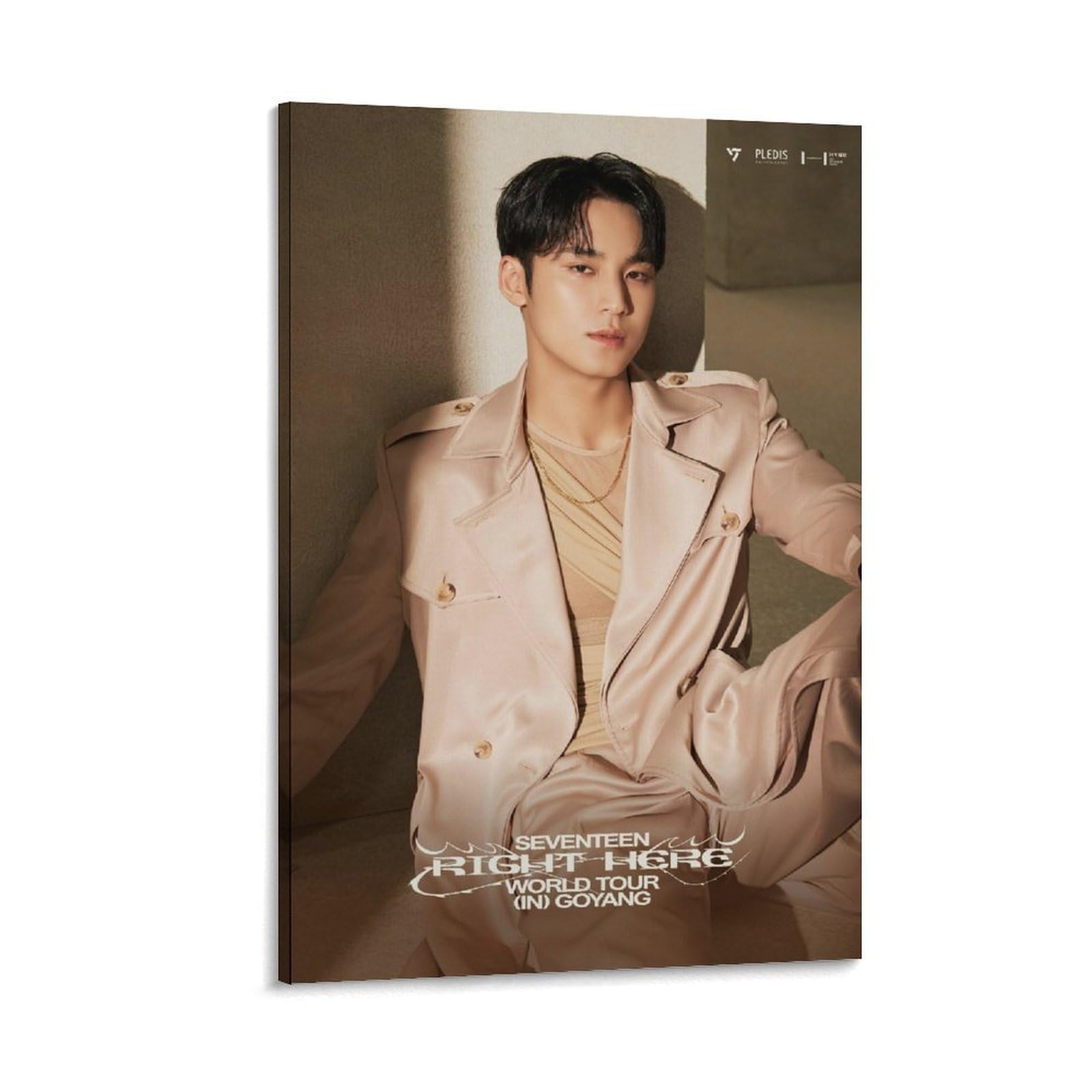 STAR MINGYU SEVENTEEN RIGHT HERE WORLD TOUR ALBUM COVER Poster And