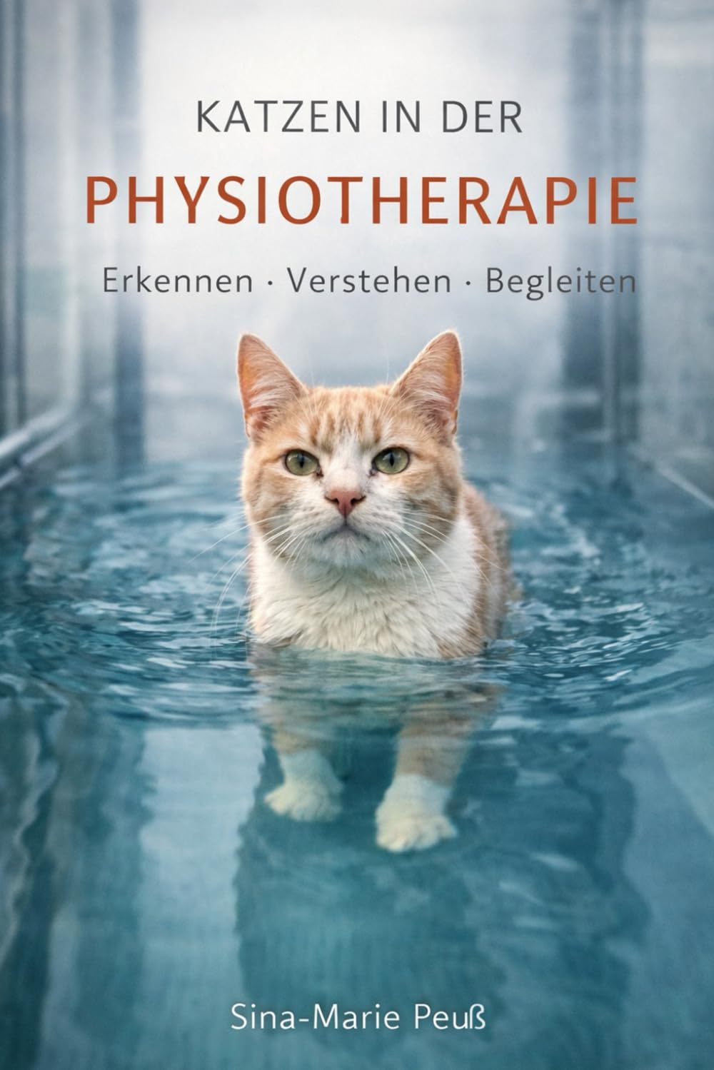 Katzen in der Physiotehrapie: Erkennen, Verstehen, Therapeutisch begleiten