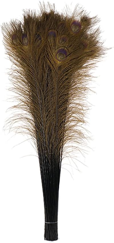 ZUCKER Large Ostrich Feather Fan - Vintage Costume Folding Hand Fan - Burlesque Showgirl Costume Decorative Fan for Women