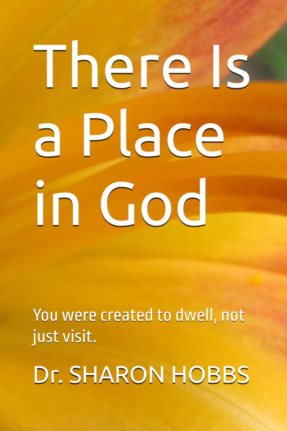 There Is a Place in God: You were created to dwell, not just visit.
