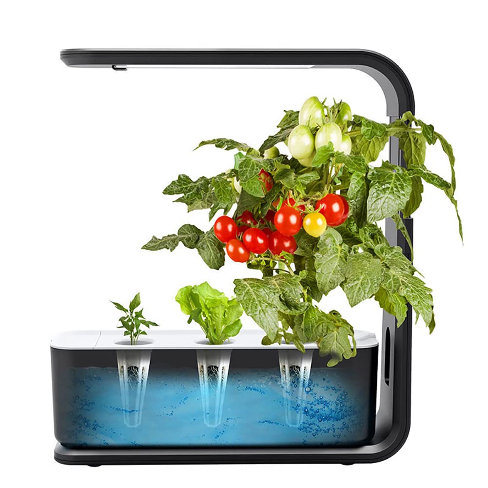 Kit de jardinage d'herbes aromatiques d'intérieur hydroponique avec lampe LED