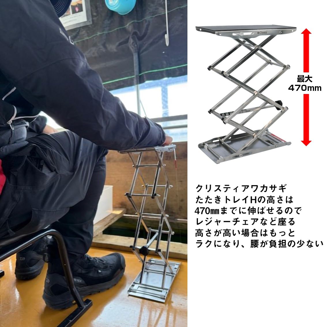 Amazon | ダイワ(DAIWA) トレイクリスティア ワカサギ たたき