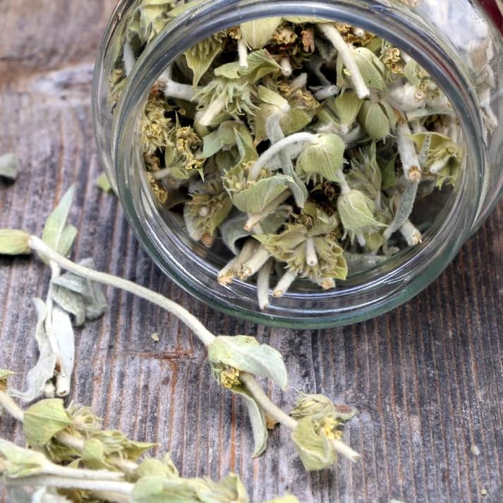 Miniatura 9 de Té griego de montaña (Mount Olympus)  Té de hierbas suelto para la longevidad  Sideritis Scardica  100% elaborado en forma silvestre, sin cafeína,