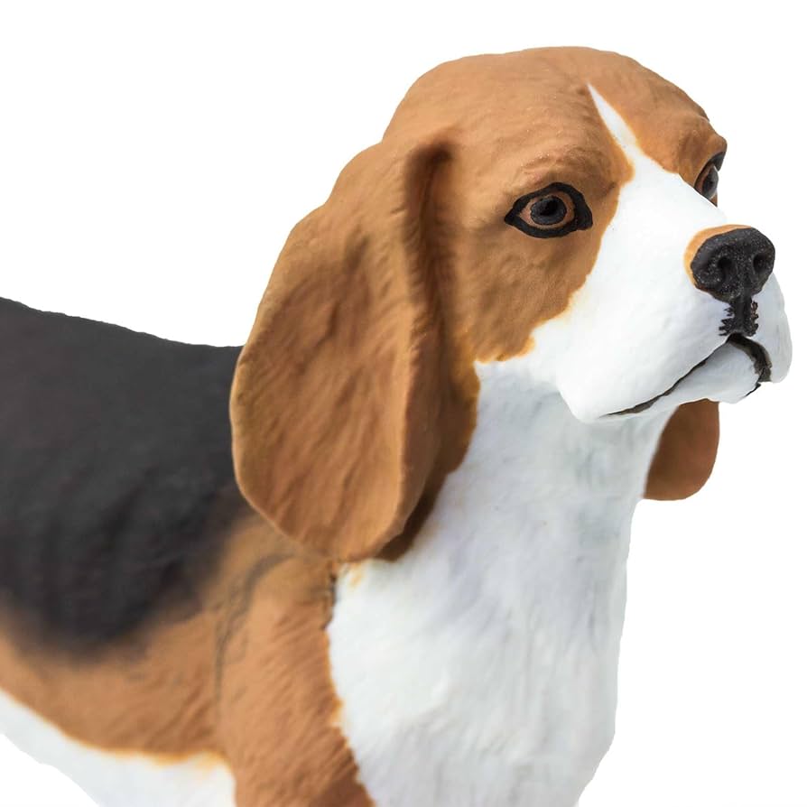 THE DOG beagle11個セット Beagle | The Dog