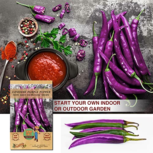 Cayenne Pepper Seeds For Planting - Non-Gmo Spicy Purple Peppers - Pack Of 30 Open-Pollination Heirloom Seeds With Growing Instructions - All-Natural Hot Pepper Seeds For Your Garden #TOP2