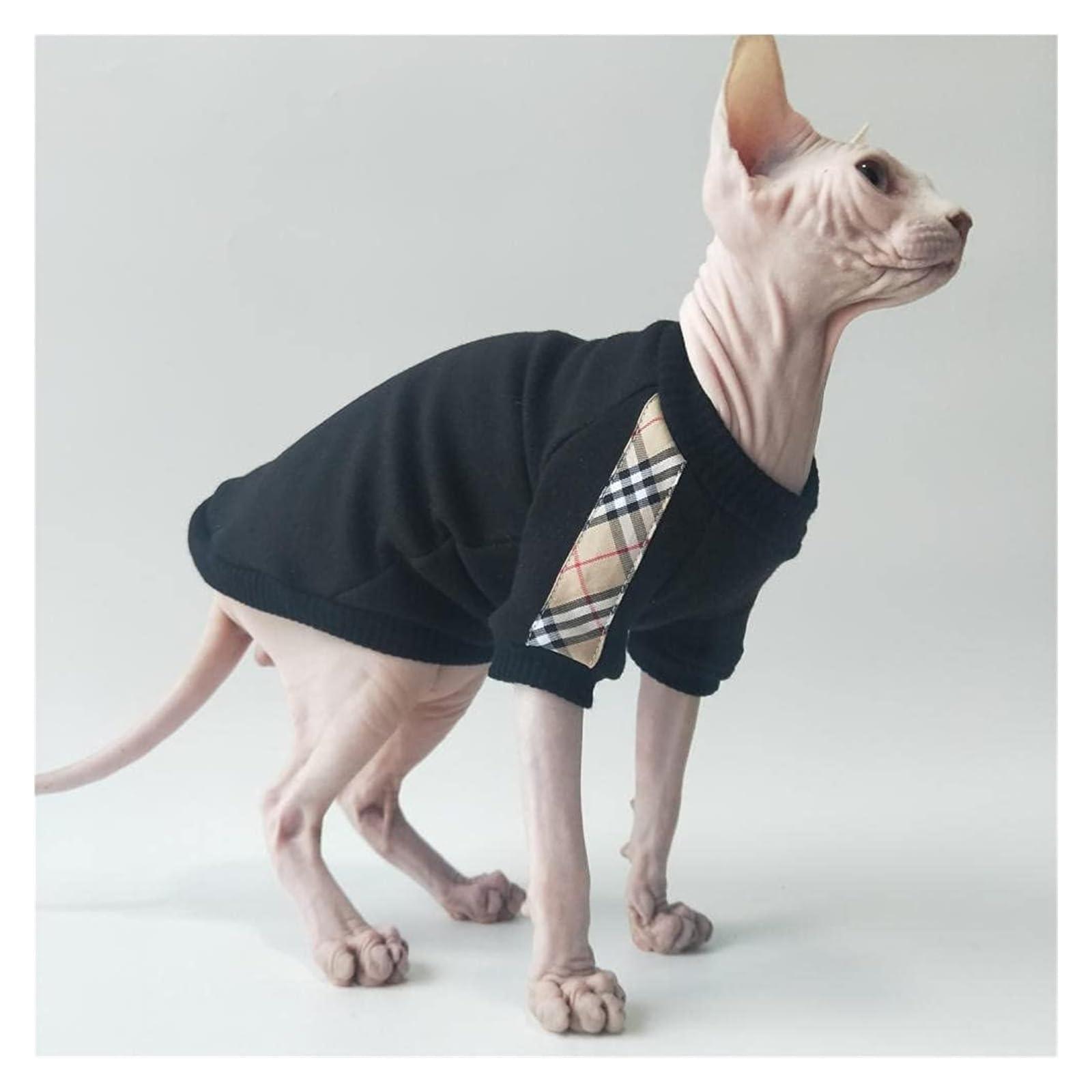 SPHYNX CAT Ubranka dla kotów z fakturą, bawełniana czarna koszulka z dodatkiem aksamitu,Odzież dla kotów(Free,M)