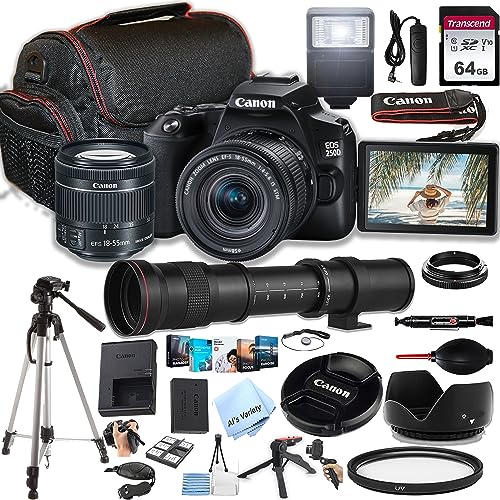 Cámara Canon EOS 250D DSLR con lentes y accesorios miniatura 1