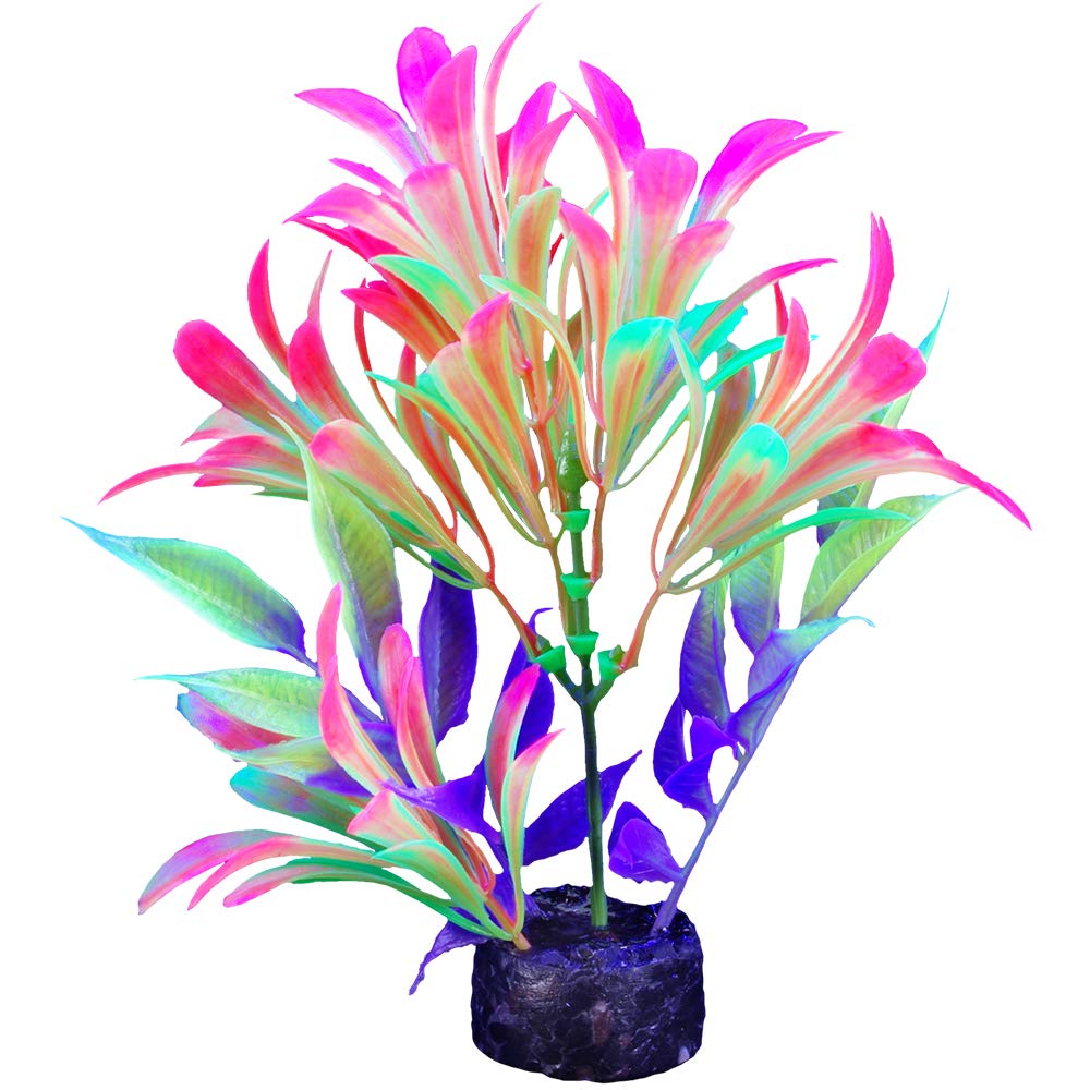 B&Q -  Iglo Plant 5.5 Yellow Hygro Aquarium Decoration