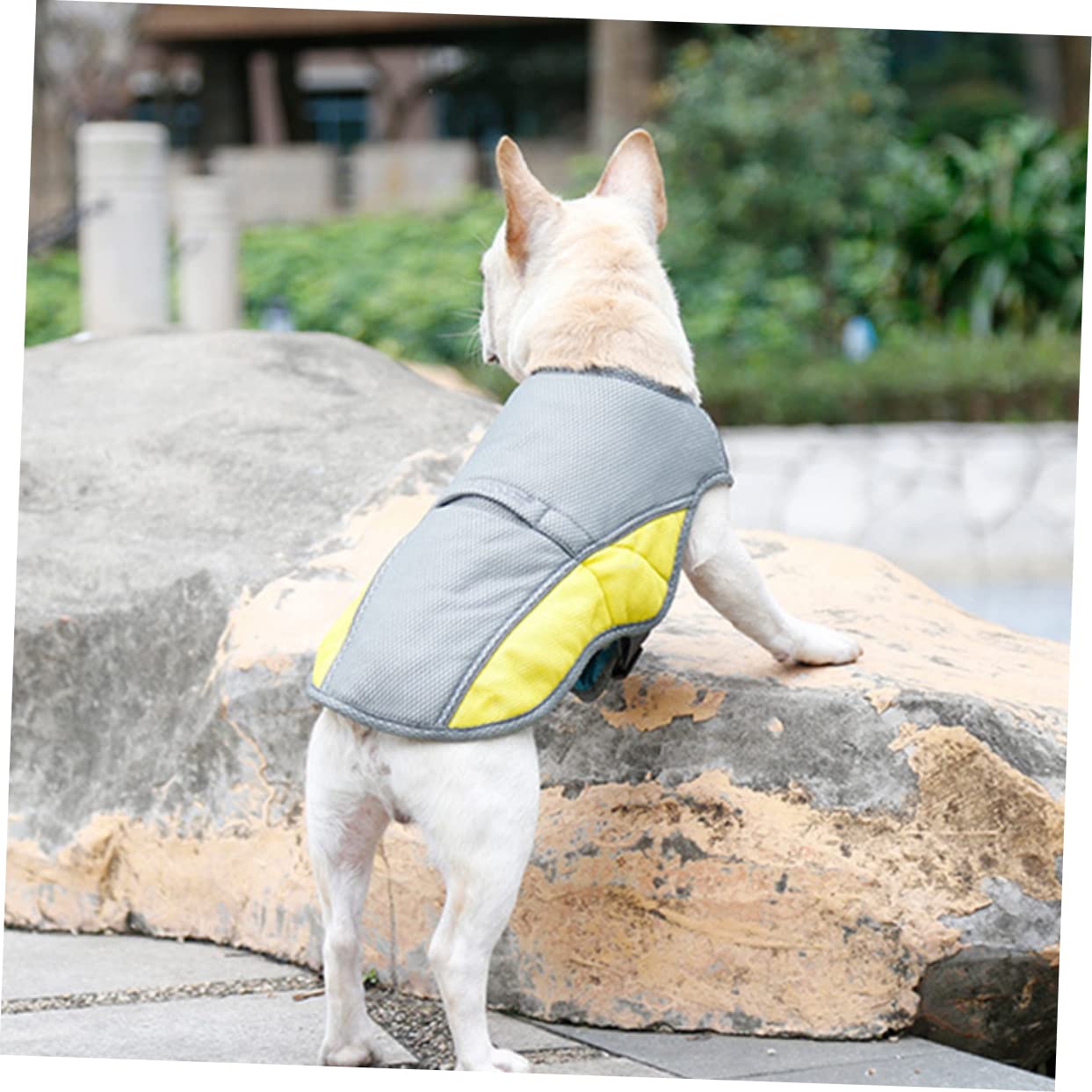 Housoutil 3pièces Gilet Refroidissant pour Animaux De Compagnie Veste Évaporation Été s Couleur Assortie Confort Respirant Et Réfléchissant pour Chiens