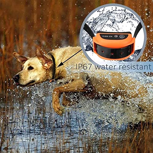 Wireless Dog Fence Collar Close-up