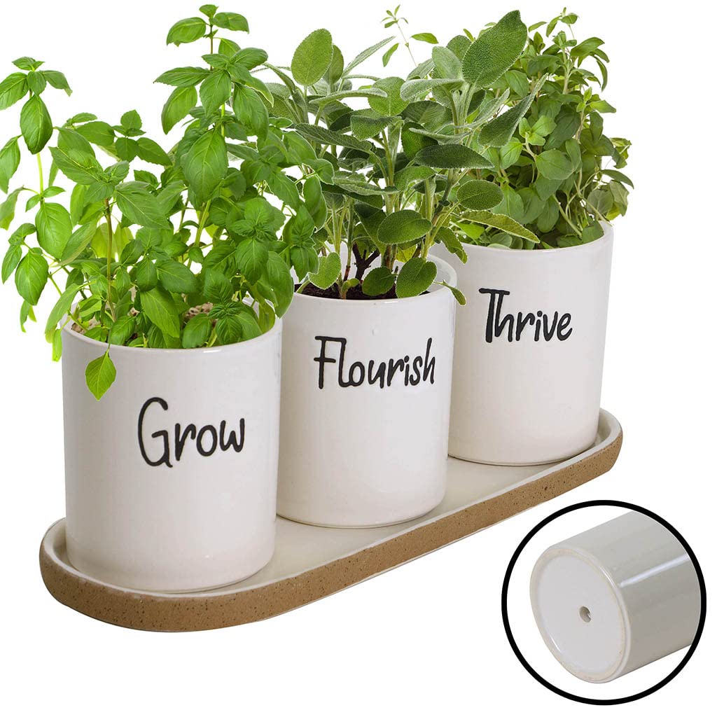 Dibor Herb Planters on Tray Set Ceramic Indoor Windowsill Plant Pots (BP98)