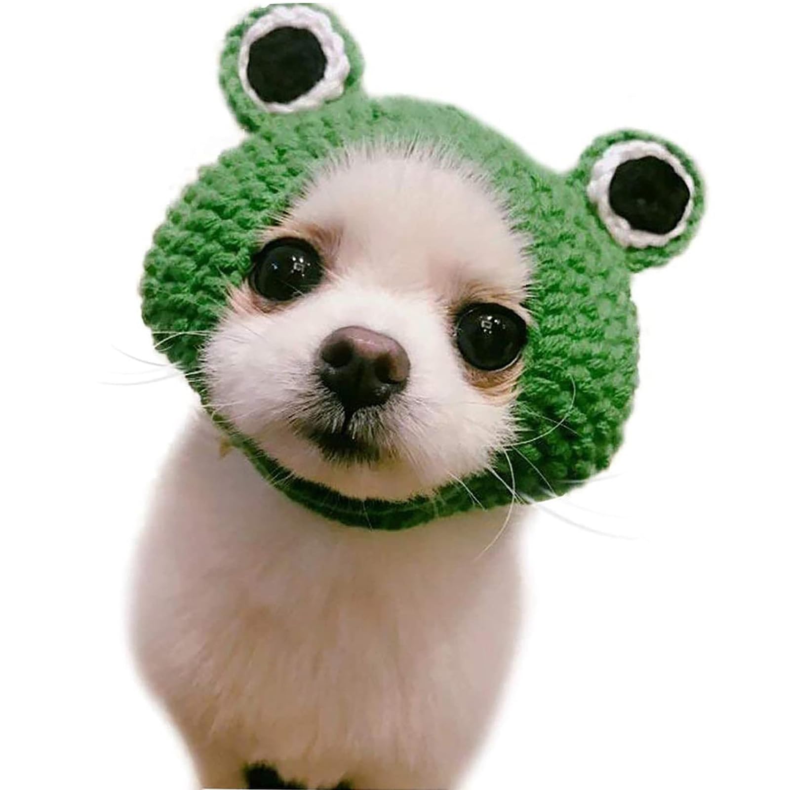 QBLEEV Pet Dog Hat, Cat Hats for Cats Only, Cartoon Design Handmade Knitted Woolen Yarn Frog Cap, Sphynx Cat Party Hat with Ear Holes for Easter, Dog