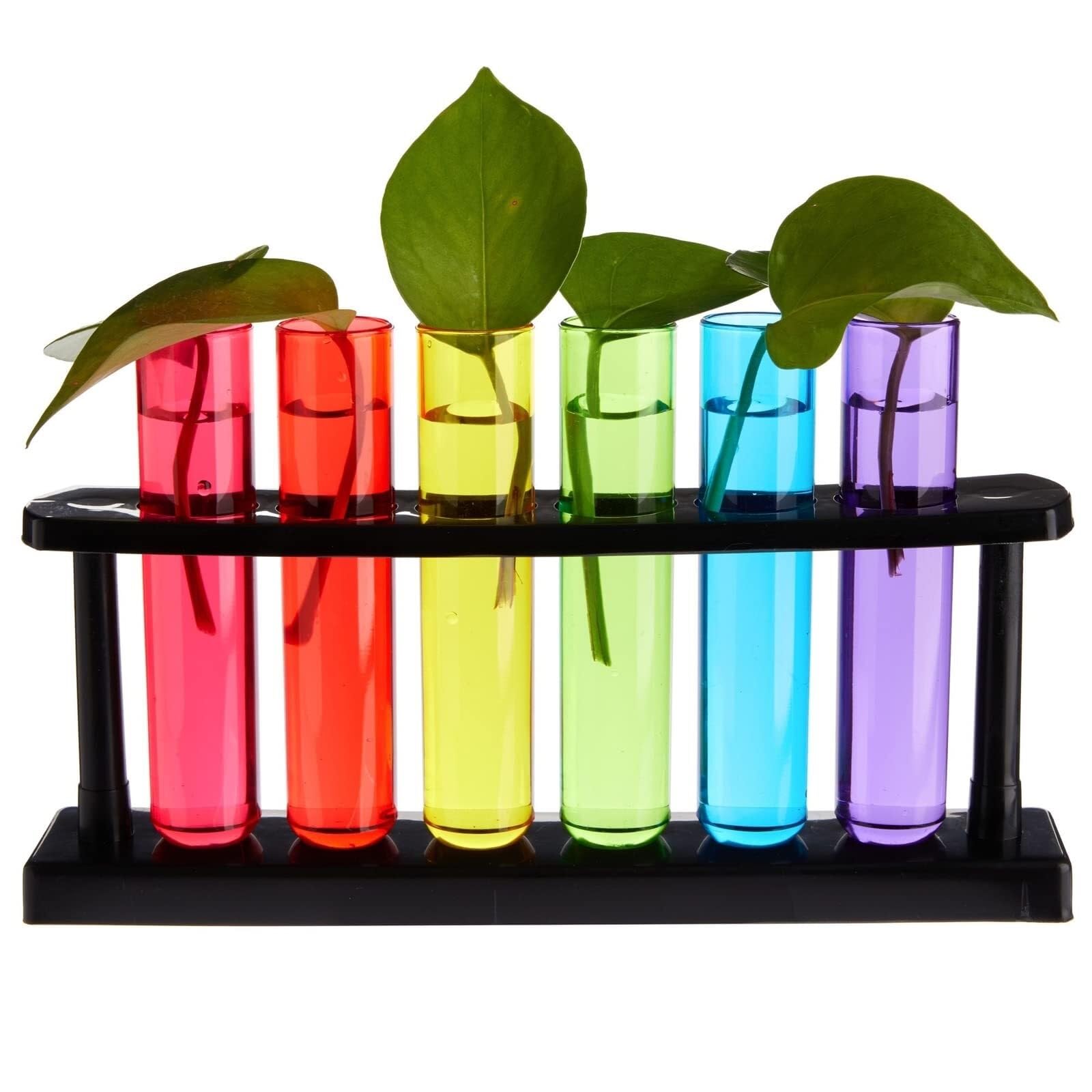 Reagenzglashalter Ständer 4er-Pack Reagenzgläser aus Kunststoff mit Gestell for Partys, Pflanzenvermehrung, Schnapsglashalter for die Wissenschaft Werkzeug Laborzubehör