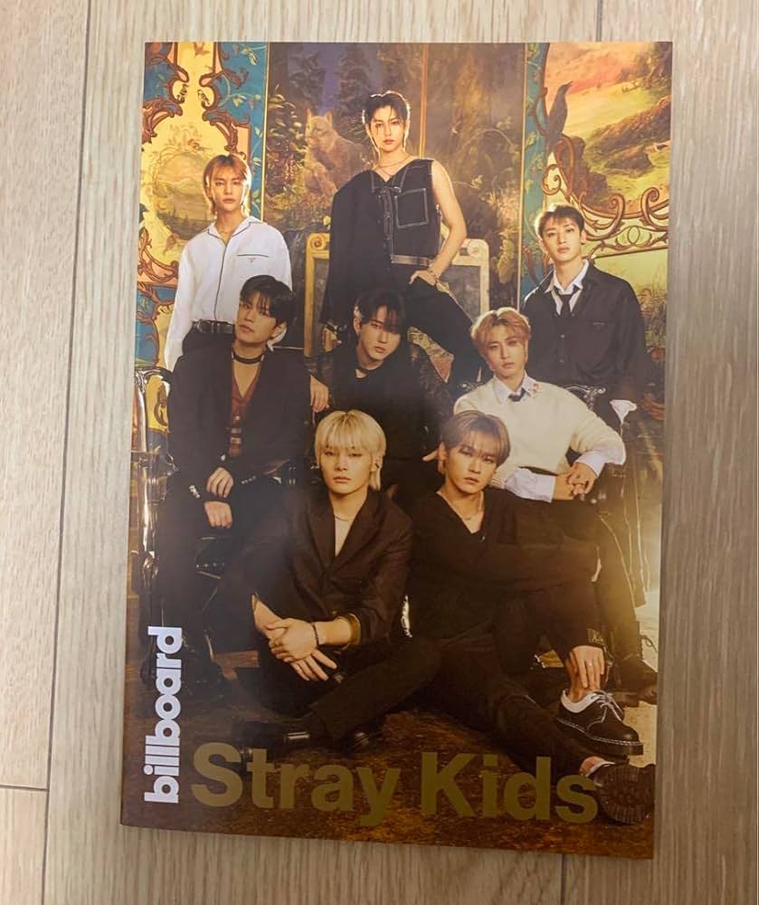 STRAY KIDS BILLBOARD 雑誌 skz Amazon.co.jp: STRAY KIDS BILLBOARD Magazine Skz : Toys & Games