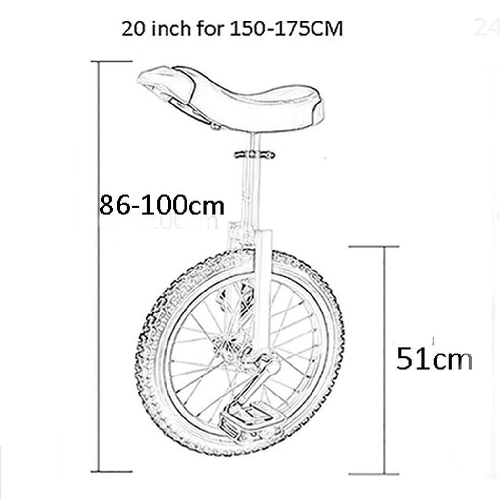 DXYDZSWD 20-inch Wheelbarrow, Height-Adjustable, Anti-Skid Tires, Balance Bike, Best Birthday, 5 Colors(D)