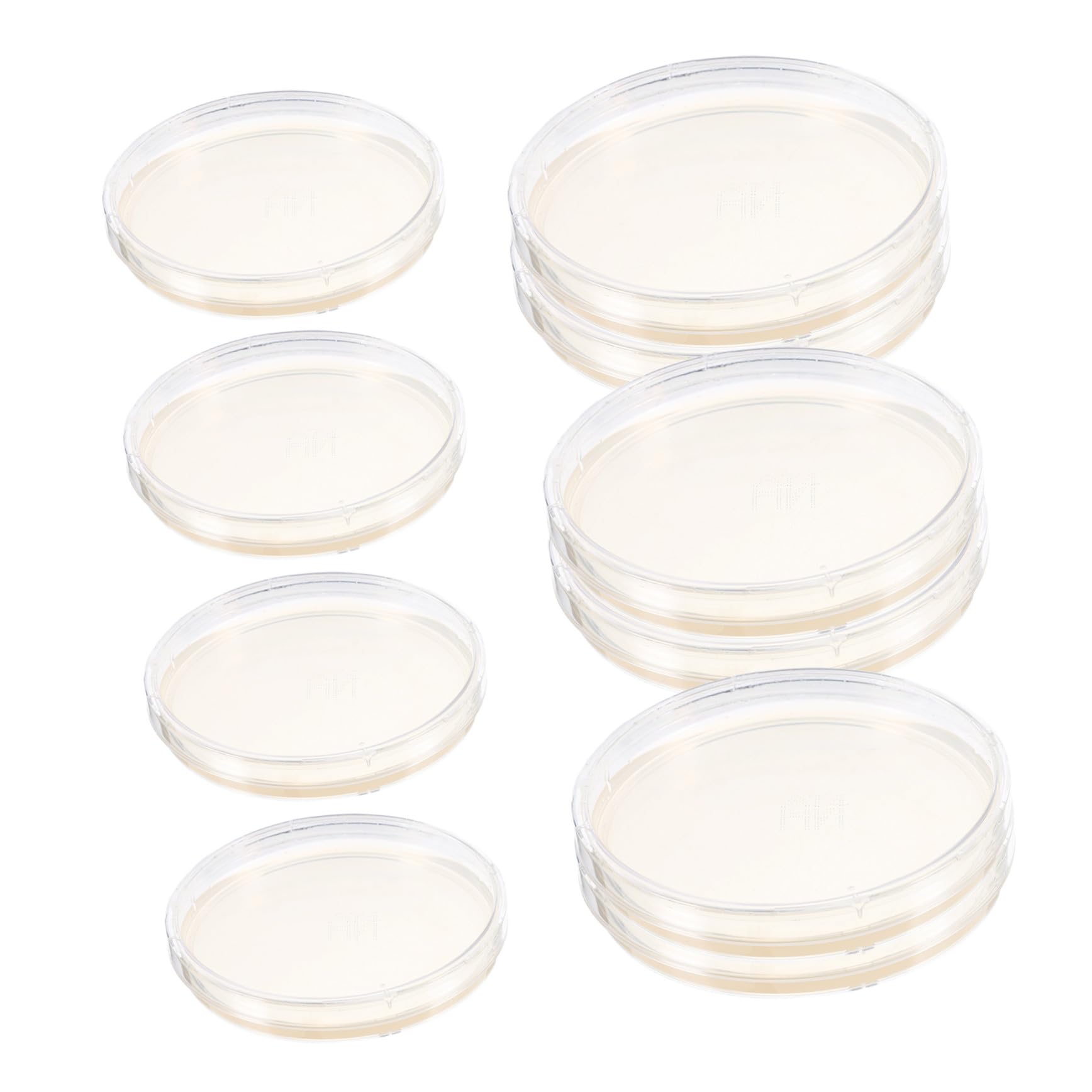 BESTYASH Confezione da 10 Piastre di Petri Agar Preversato in Agar Nutriente, Resistenti per Uso Prolungato, per Conservazione e Scopi di Coltura Microbiologica