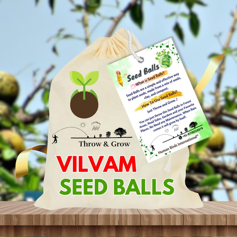 Human Birds International® - Seed Balls Pack of (50) - (Vilvam, Aegle Marmelos, Vilvam, Stone Apple Tree, Bael, Bilva, Maaredu), Just Throw and Grow, Return Gift, Earth Balls, Seed Bombs (B0D9QPM4GH) Amazon Price History, Amazon Price Tracker
