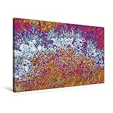 QUALITÄT: Hochwertiger, brillanter, abriebfester, lichtbeständiger Kunstdruck mit stabilem Massivholz-Rahmen. Lieferung fertig aufgespannt in sicherer Versandverpackung