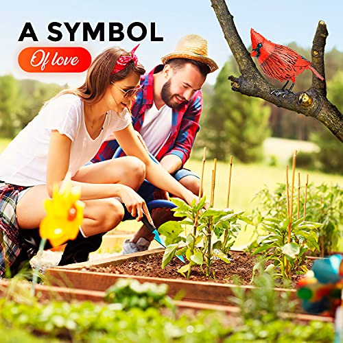 Shefio-Cardinal-Garden-Decor-Metal-Cardinal-Yard-Decor-Large-Red-Bird-Unique-Yard-Art-Outdoor-Statues-Garden-Sculptures-Statues Shefio Cardinal Garden Decor Metal Cardinal Yard Decor Large Red Bird Unique Yard Art Outdoor Statues Garden Sculptures Statues