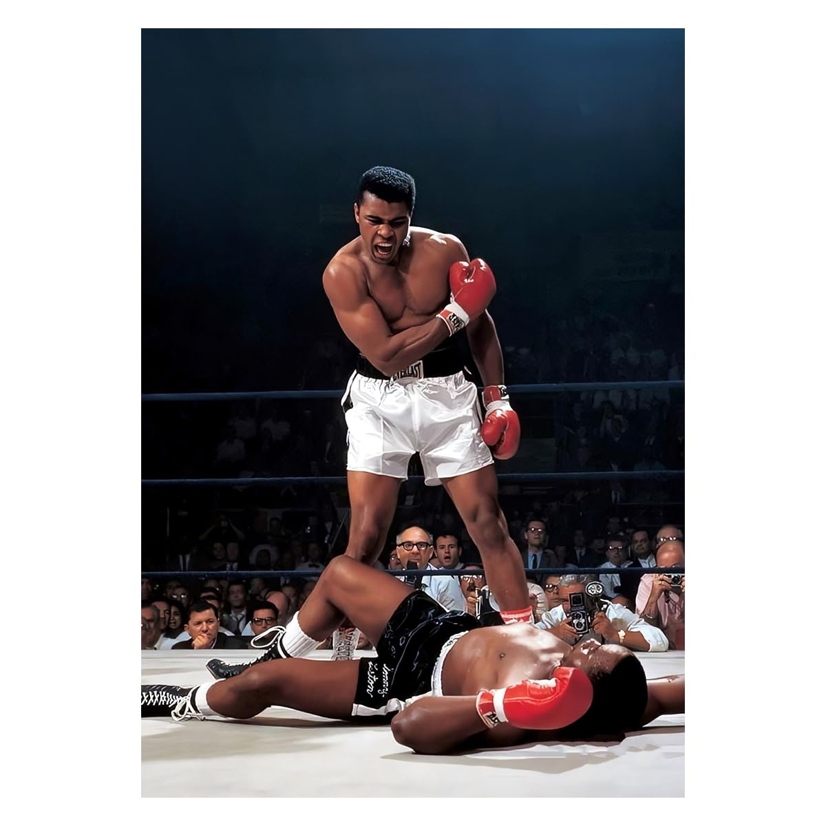 Muhammad ali Wall Sticker - Muhammad ali Wall Poster - Boxer Muhammad ali Wall Sticker - starxdecals
