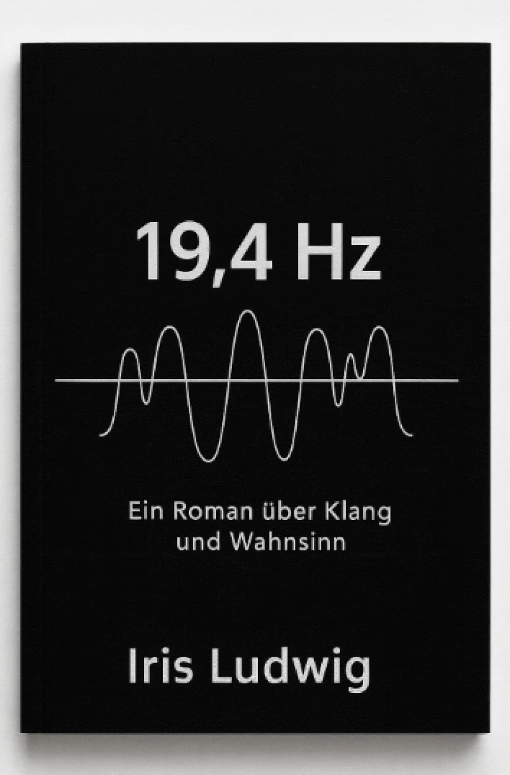 19,4 hz: Ein Roman über Klang und Wahnsinn