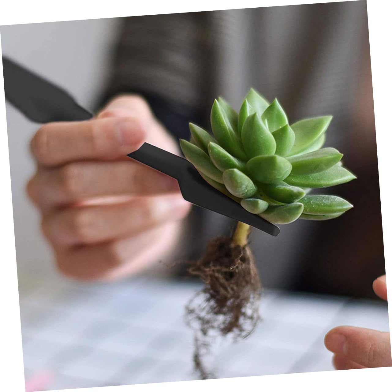 Abaodam 5 Juegos Herramientas de Jardinería de Trasplante de Suculentas Set de Utensilios Miniatura Plantar y Plantas Casa