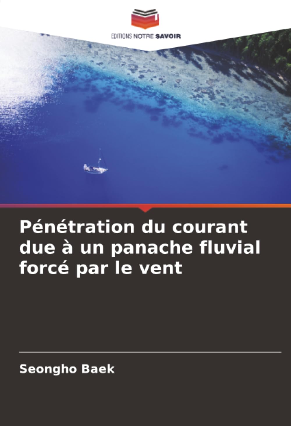 Pénétration du courant due à un panache fluvial forcé par le vent