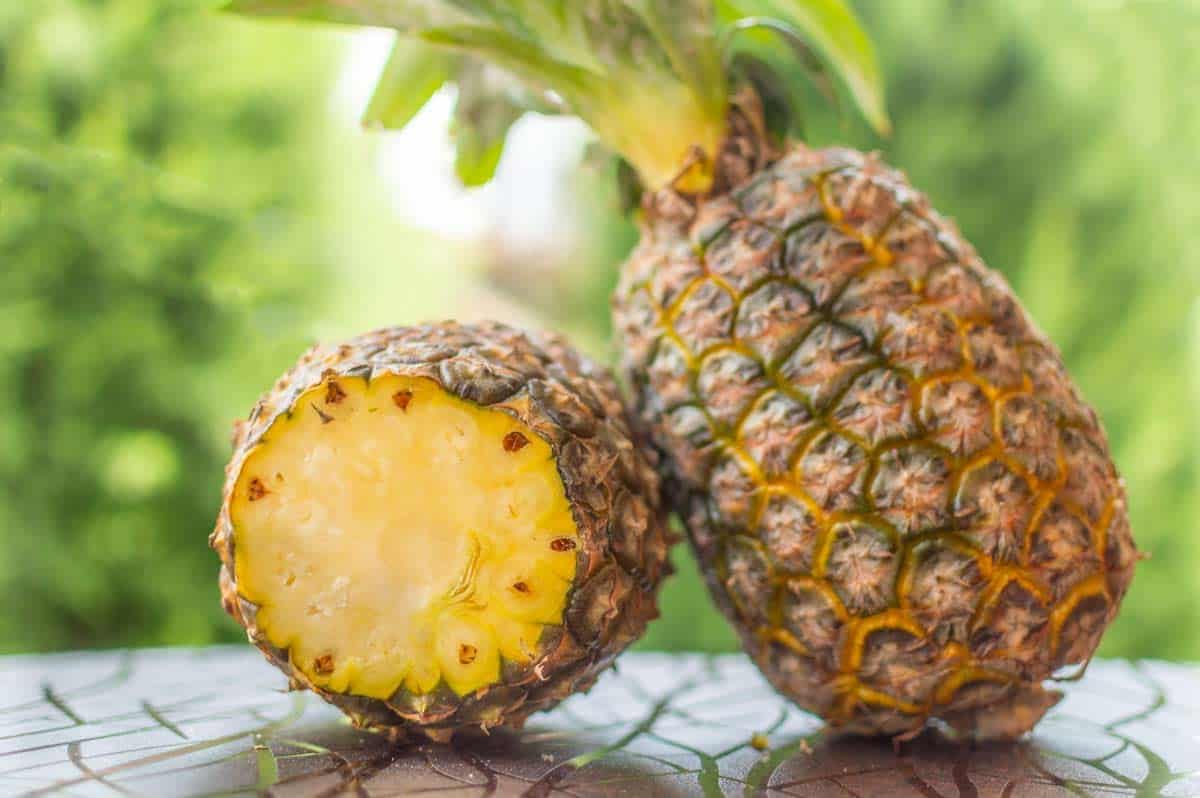 Ananas in Stücken mit Kokoswasser, gesunde frische Stücke natürlicher Ananas ohne Zusatzstoffe in Kokoswasser, 1190 g.